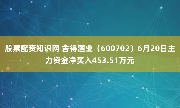 股票配资知识网 舍得酒业（600702）6月20日主力资金净买入453.51万元